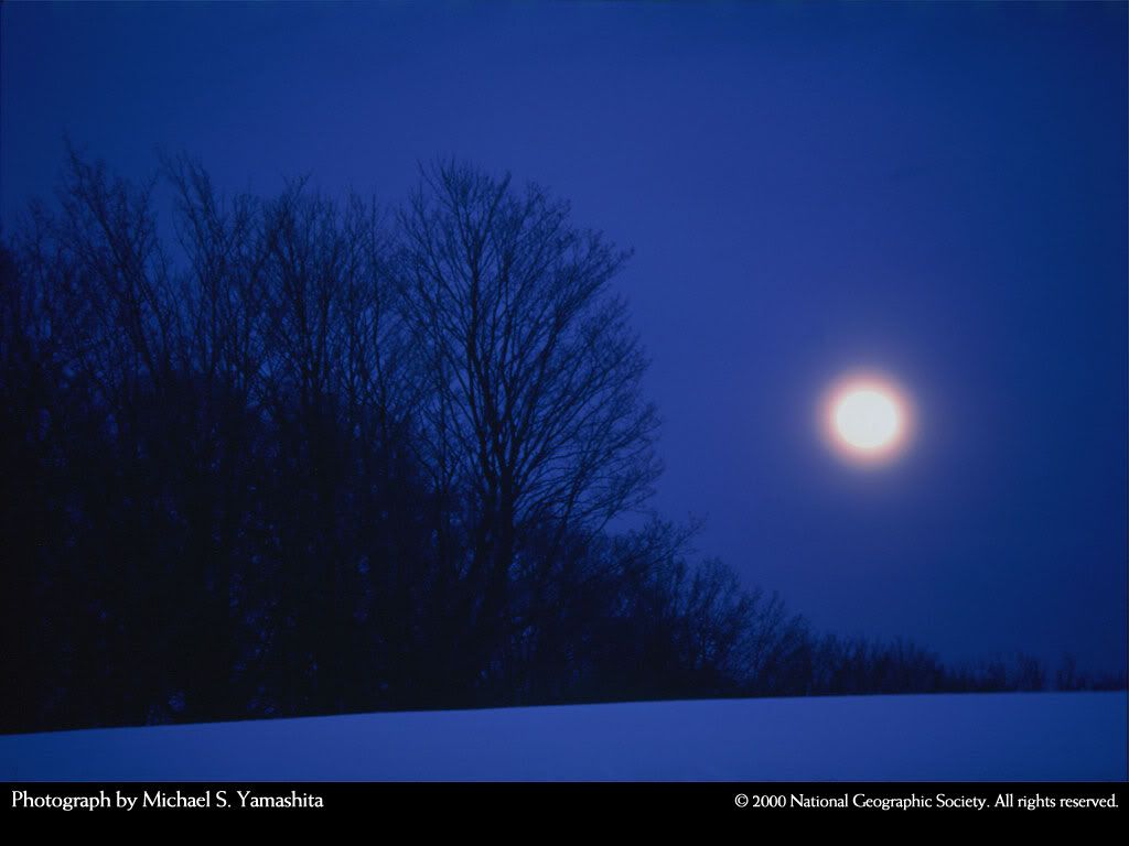 NationalGeographic20005.jpg