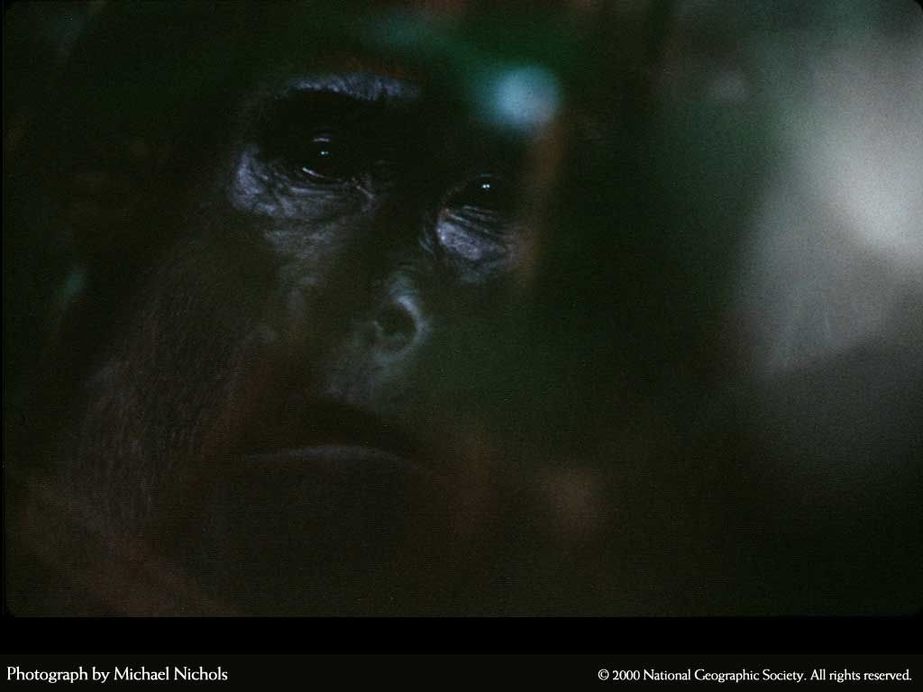 NationalGeographic20006.jpg