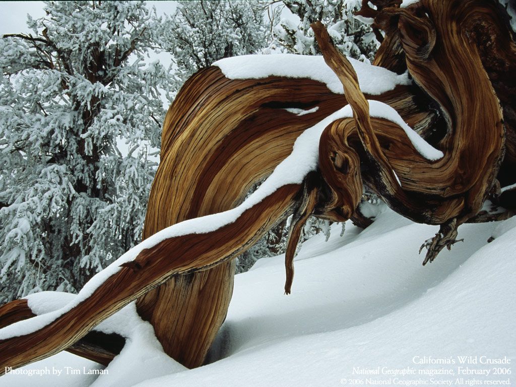 NationalGeographic200612.jpg