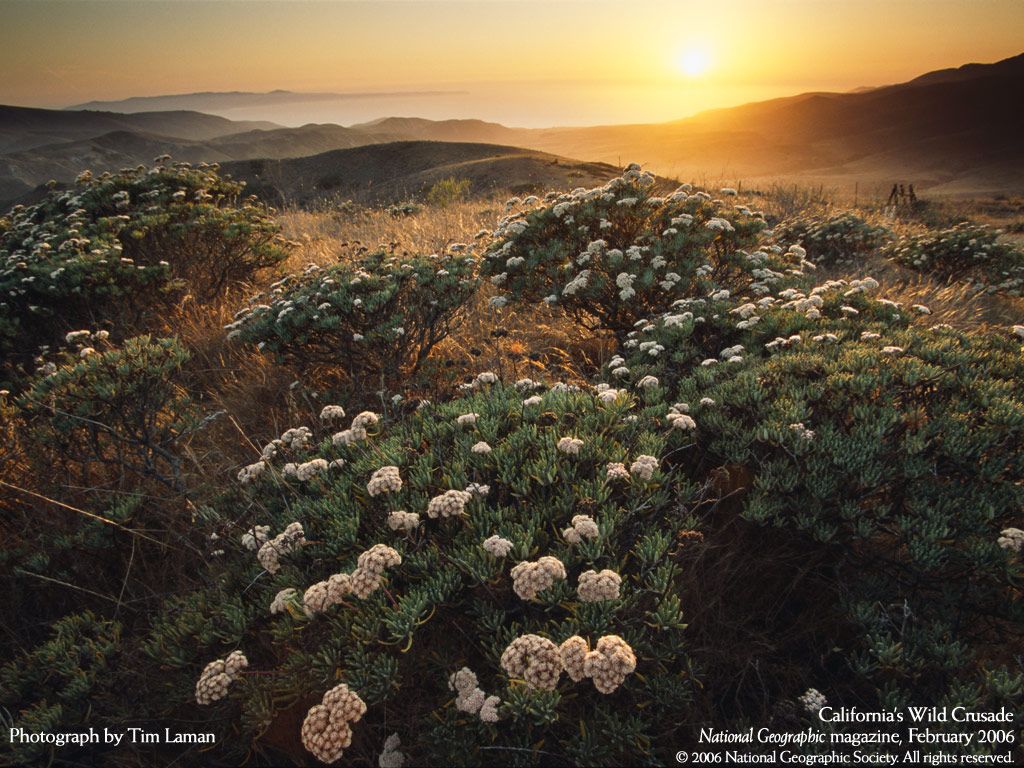 NationalGeographic200616.jpg