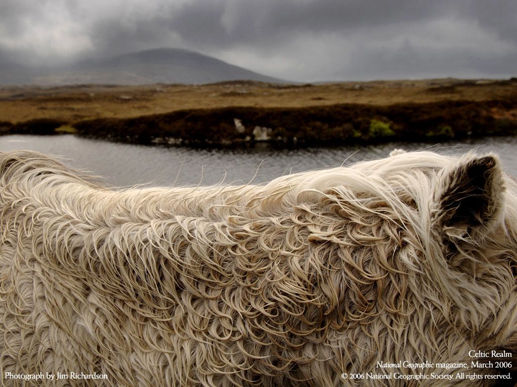 NationalGeographic200617.jpg