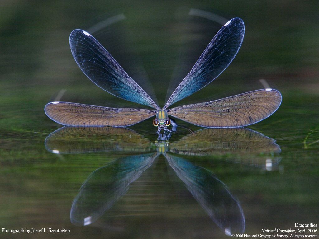NationalGeographic200624.jpg
