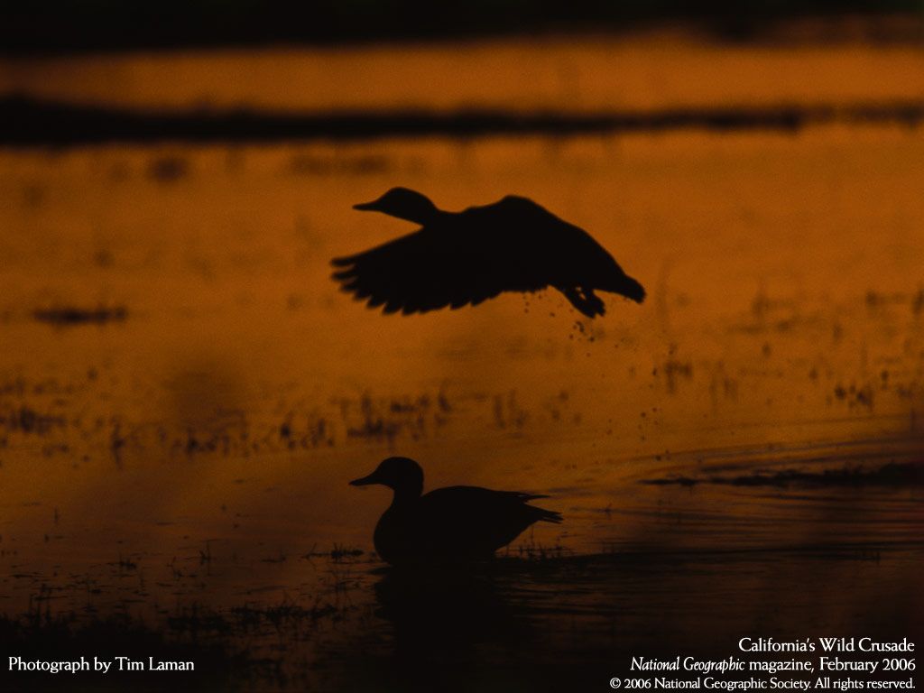 NationalGeographic200627.jpg