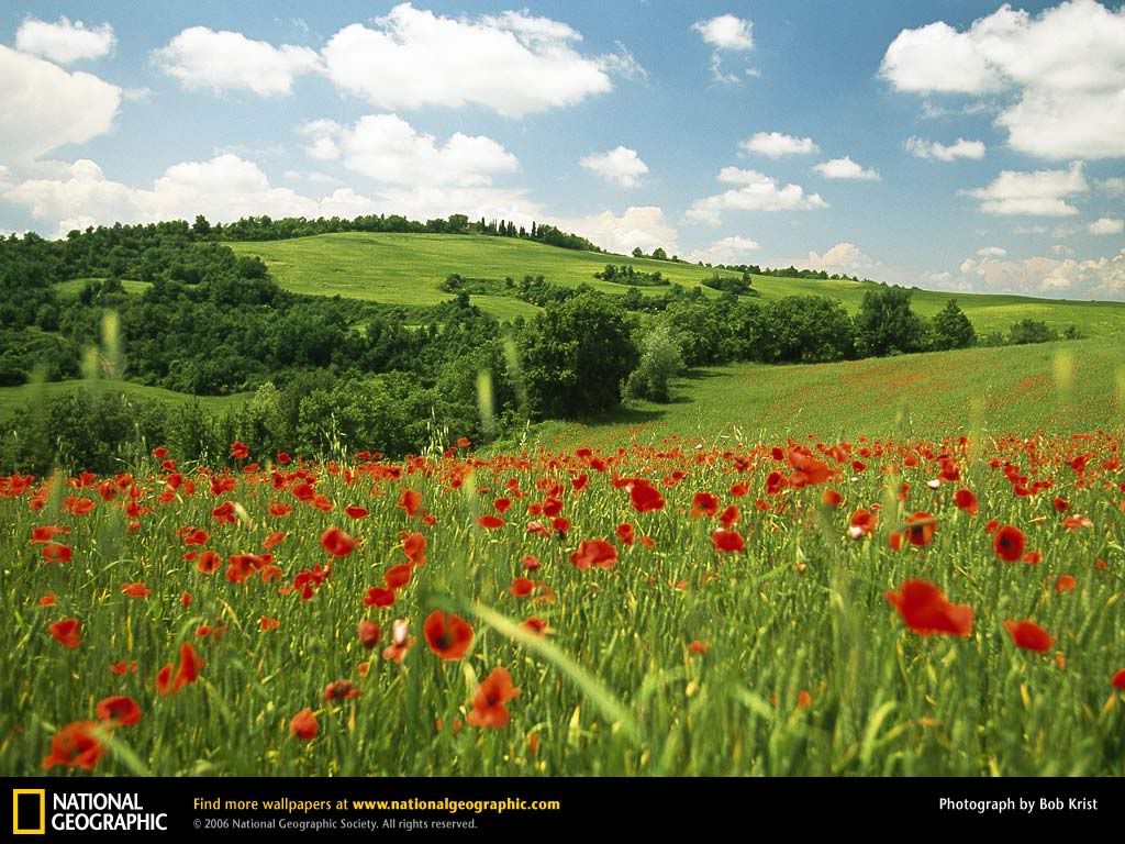 NationalGeographic20063.jpg