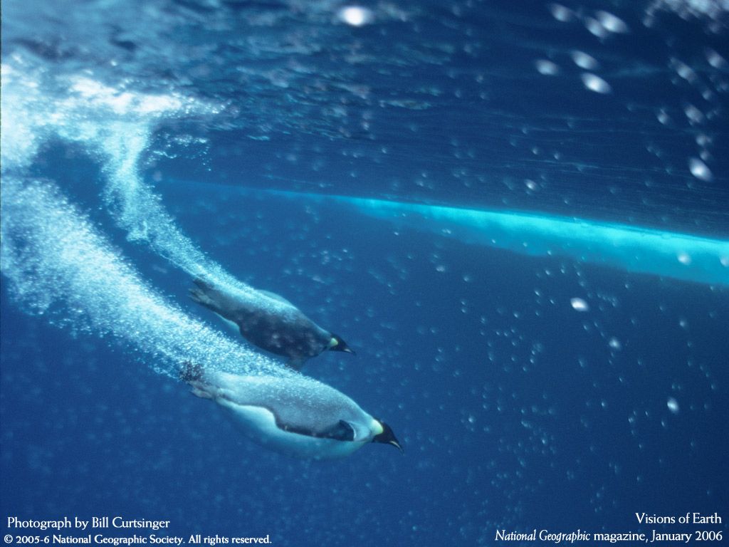 NationalGeographic20064.jpg