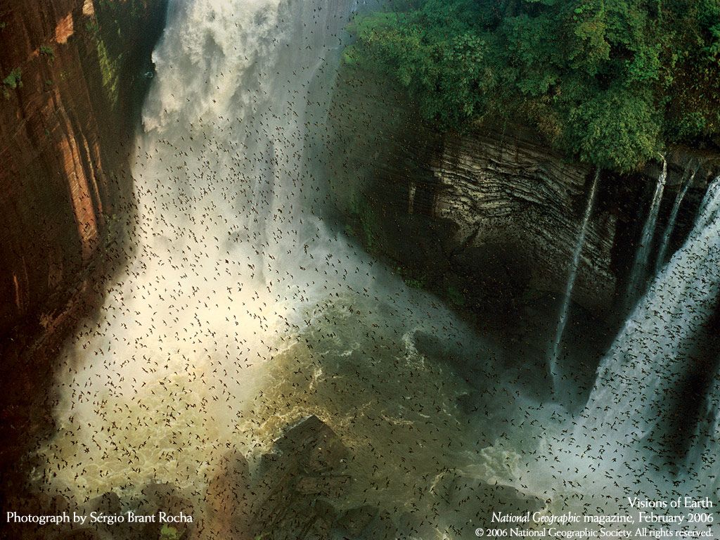 NationalGeographic20065.jpg