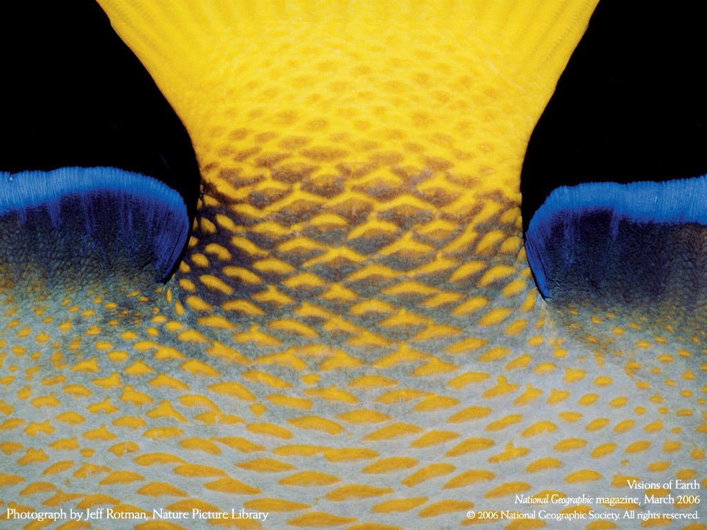 NationalGeographic20066.jpg
