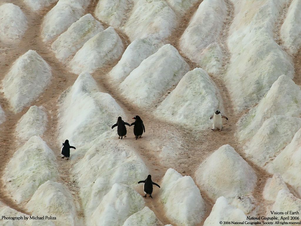 NationalGeographic20067.jpg