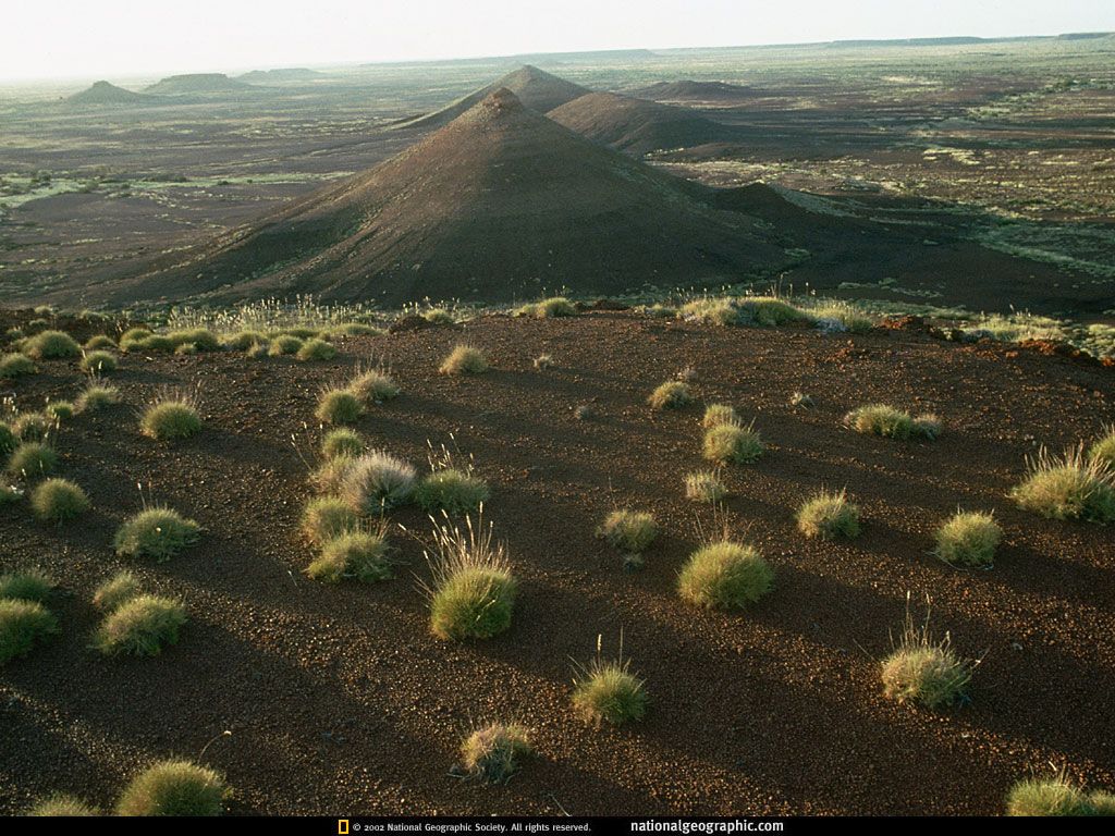 NationalGeographicWallpapers021.jpg