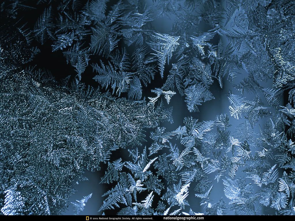 NationalGeographicWallpapers022.jpg