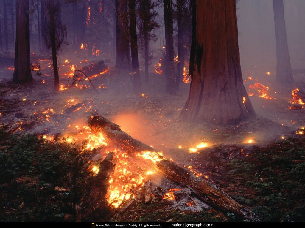 NationalGeographicWallpapers025.jpg