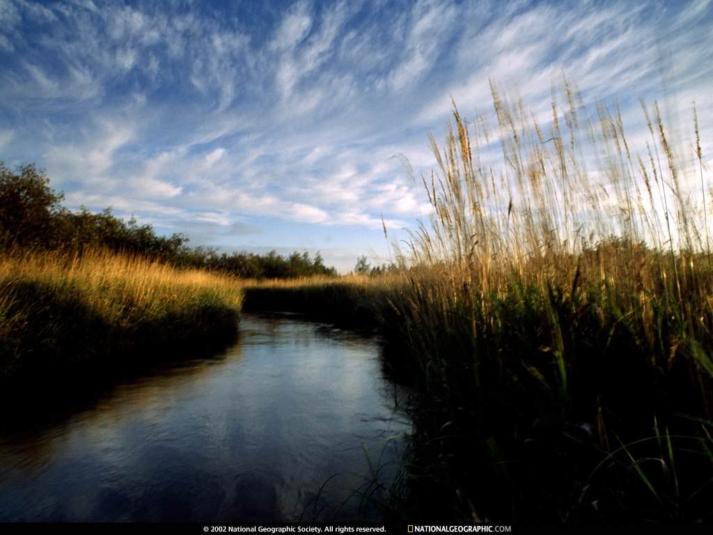 NationalGeographicWallpapers028.jpg