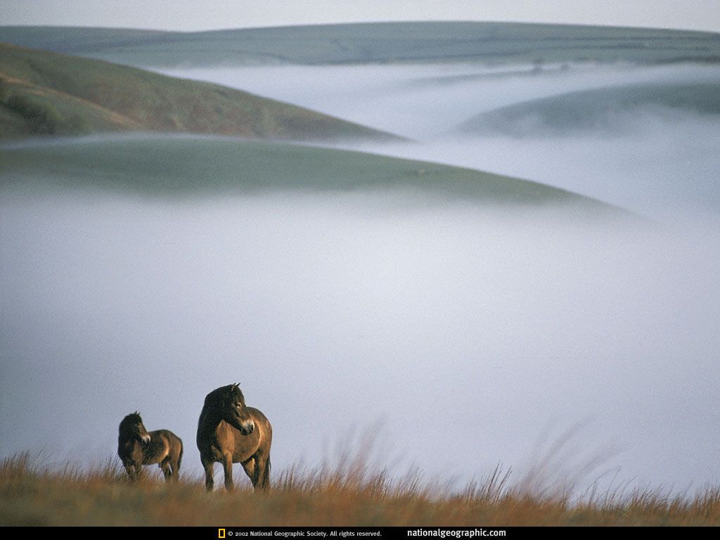 NationalGeographicWallpapers041.jpg
