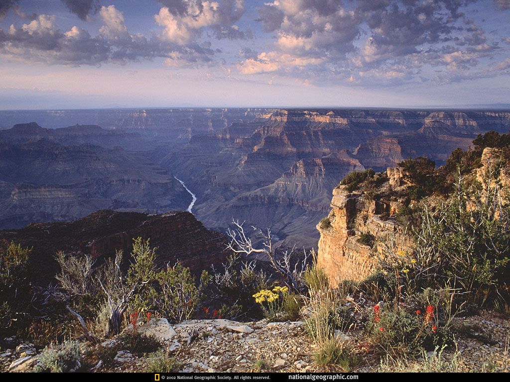 NationalGeographicWallpapers046.jpg