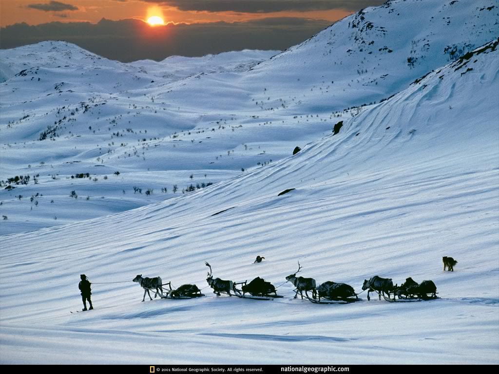 NationalGeographicWallpapers050.jpg