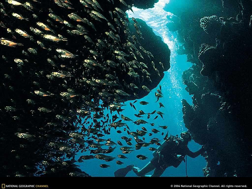Redsea.jpg