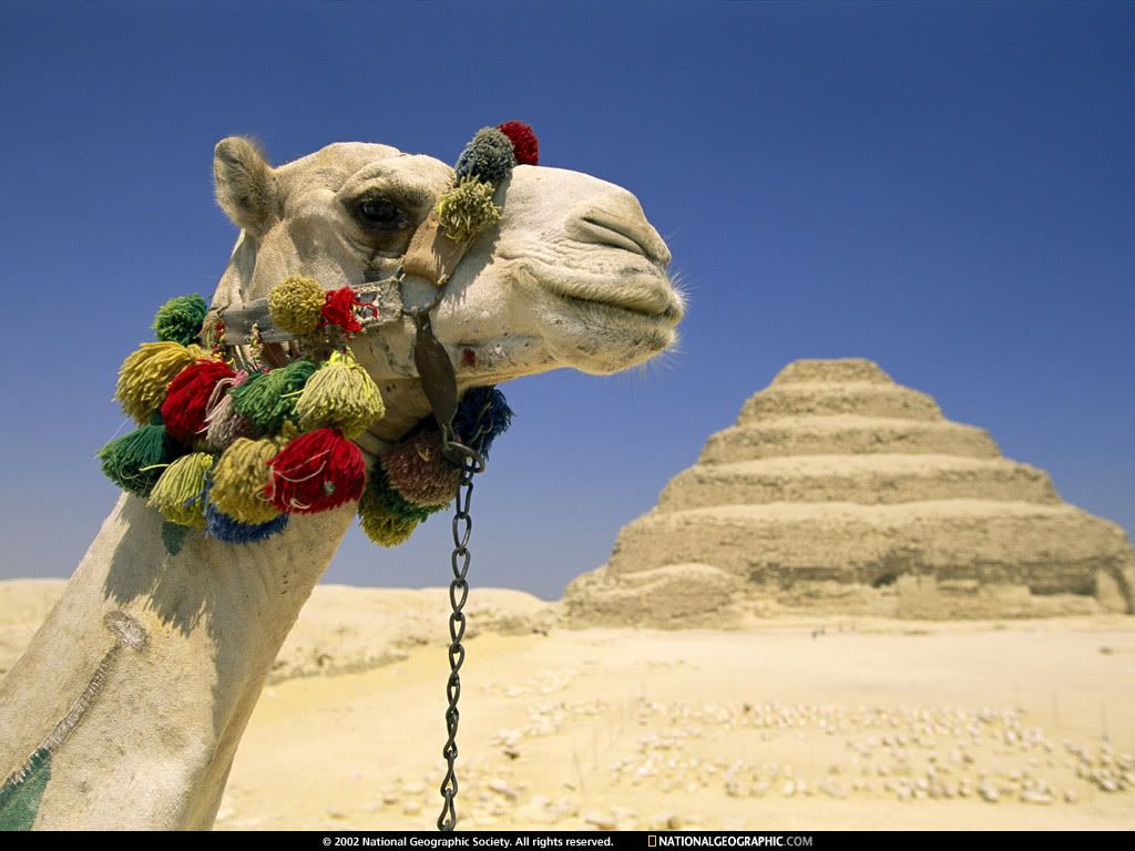 SaqqaraEgypt.jpg