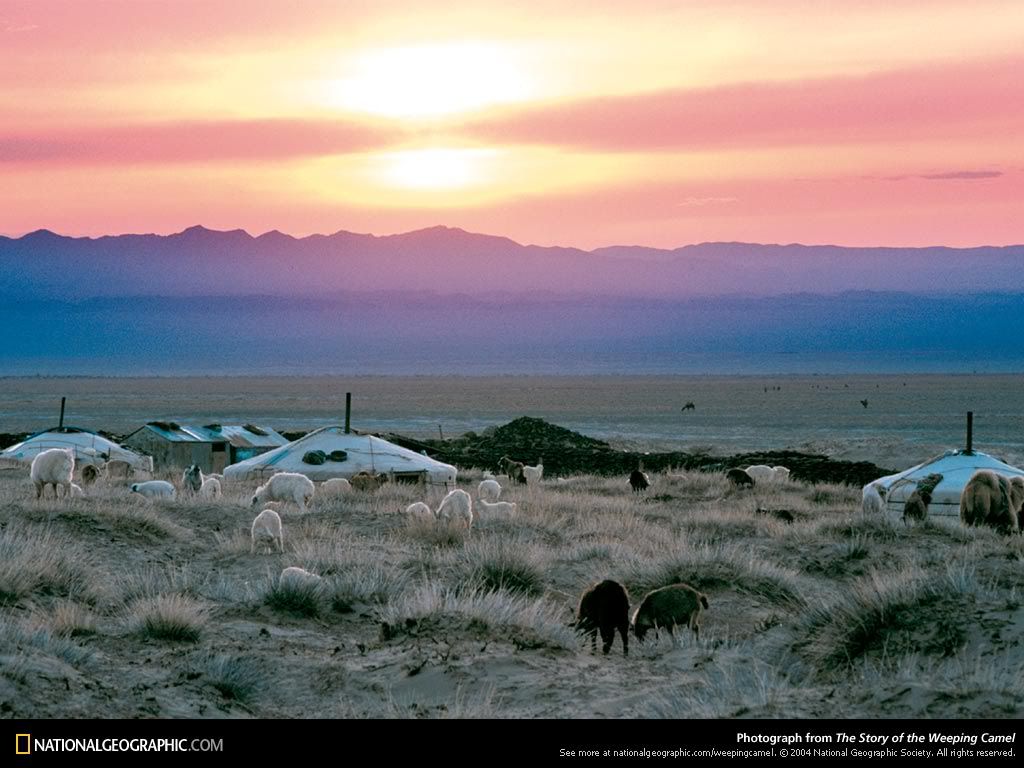 land6_1024x768.jpg