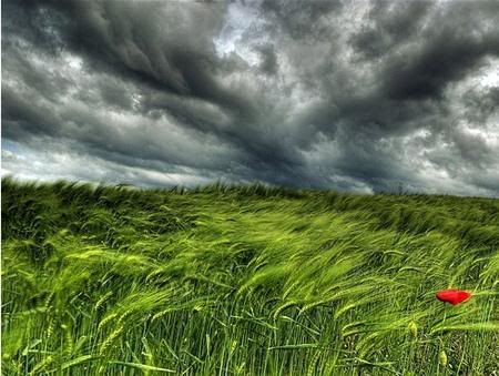 hdr-1020.jpg