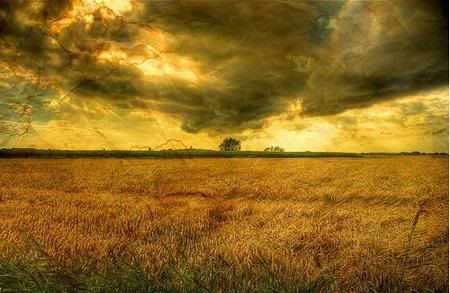 hdr-1030.jpg