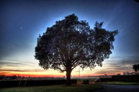 hdr-1700.jpg