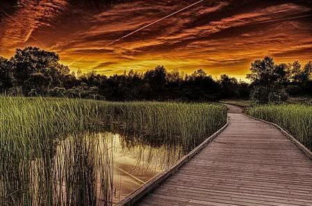 hdr-3100.jpg