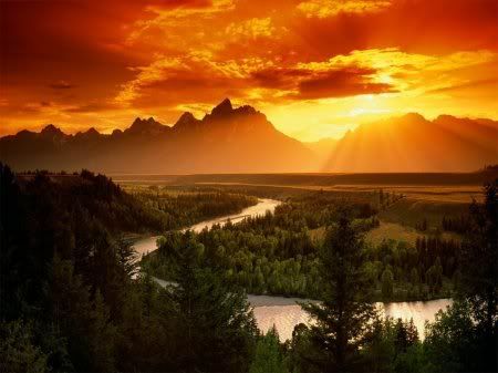 1162498276_nature_1.jpg