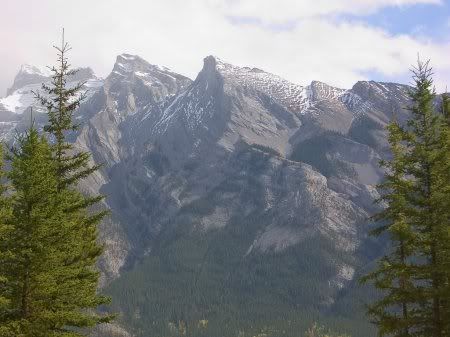 1162498276_nature_10.jpg