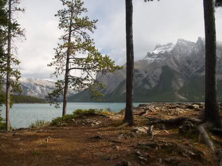 1162498276_nature_12.jpg