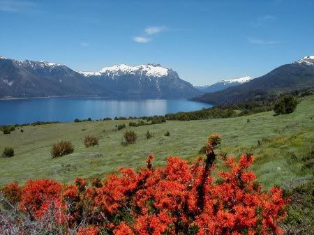 1162498276_nature_13.jpg