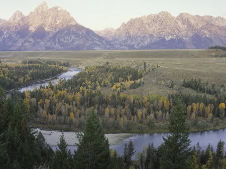 1162498276_nature_14.jpg