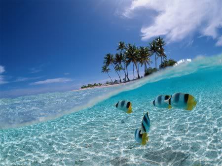 1162498276_nature_16.jpg