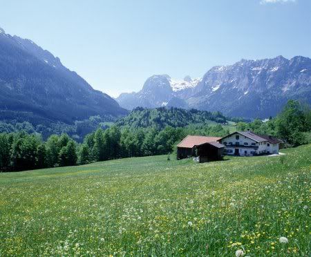 1162498276_nature_18.jpg