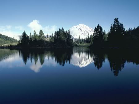 1162498276_nature_19.jpg