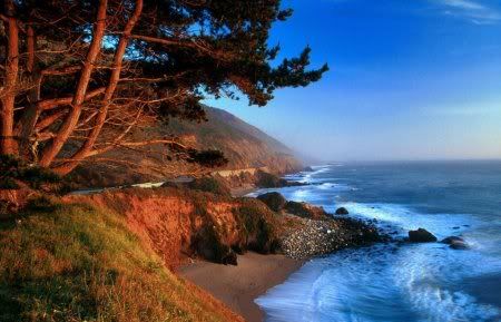 1162498276_nature_20.jpg