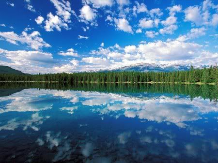 1162498276_nature_25.jpg
