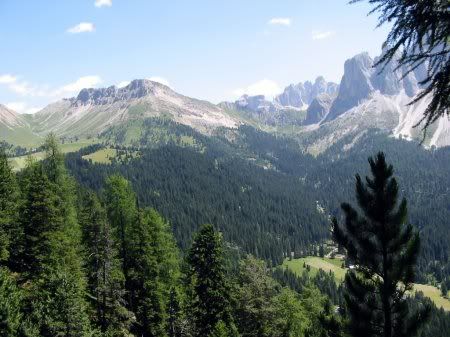 1162498276_nature_27.jpg