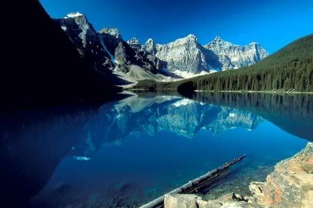 1162498276_nature_28.jpg