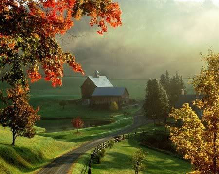 1162498276_nature_29.jpg