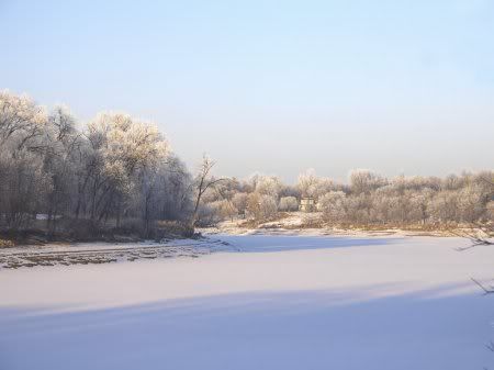 1162498276_nature_3.jpg