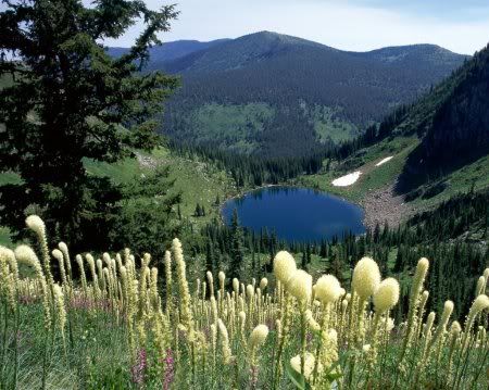 1162498276_nature_30.jpg