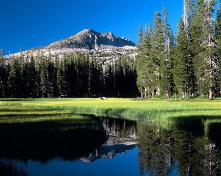 1162498276_nature_33.jpg