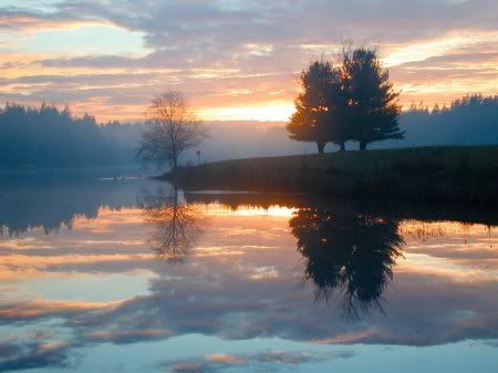 1162498276_nature_34.jpg