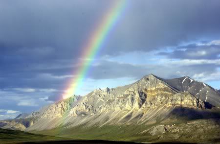 1162498276_nature_35.jpg