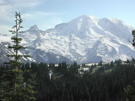 1162498276_nature_36.jpg