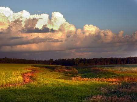 1162498276_nature_5.jpg