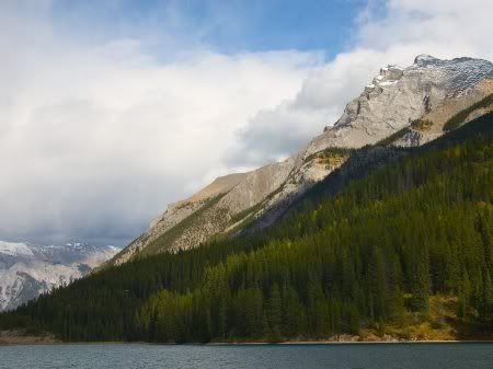 1162498276_nature_8.jpg