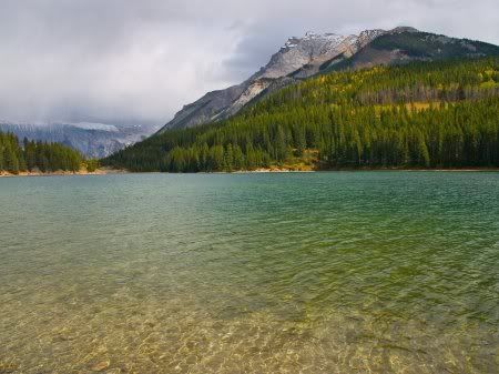 1162498276_nature_9.jpg