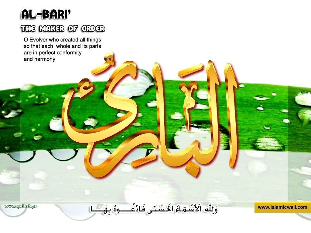 12albari.jpg