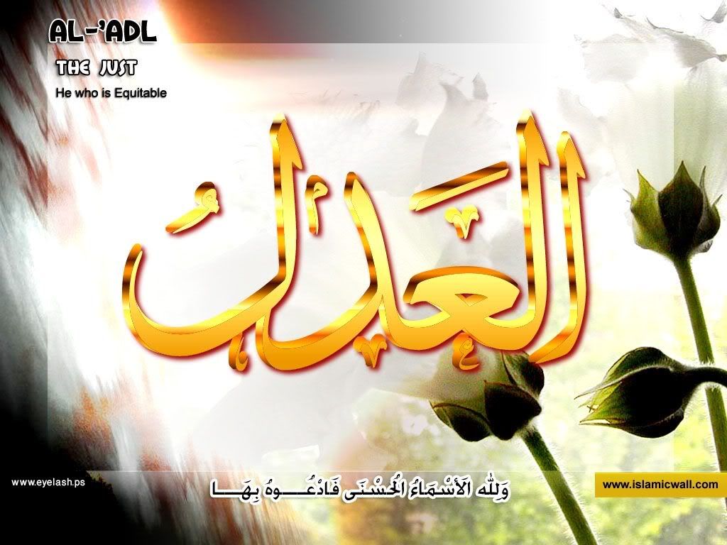 29aladl-1.jpg